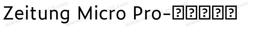 Zeitung Micro Pro字体转换